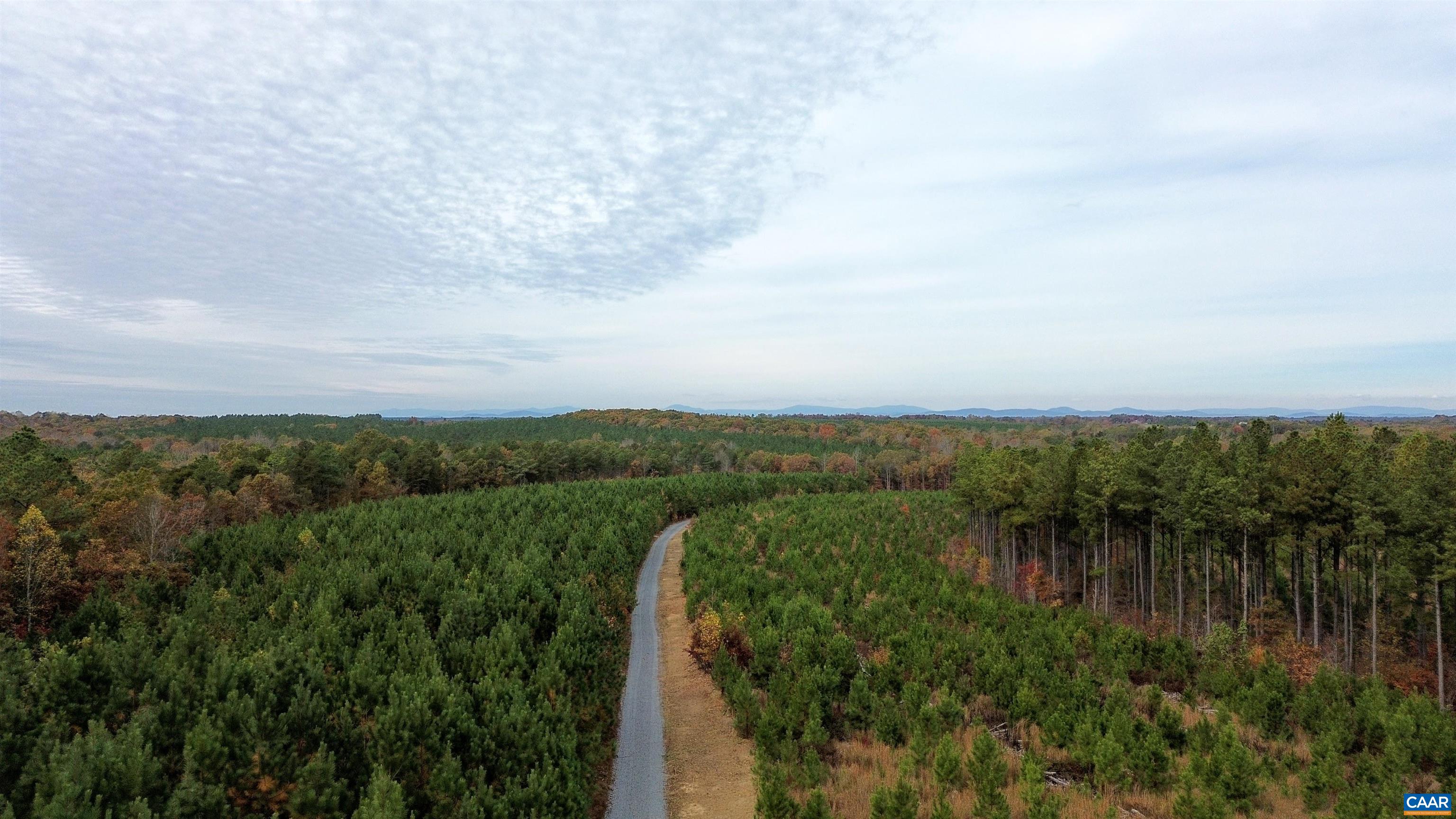 Tba Ridge Road Arvonia, VA 23004 - Photo 30 of 50 Looking West
