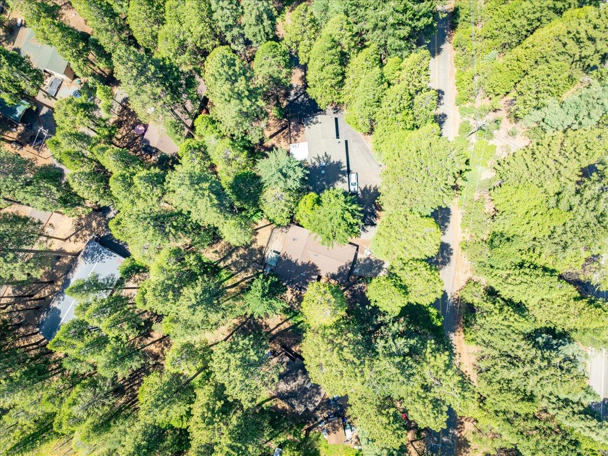 6470 Ridgeway Drive Pollock Pines, CA 95726 - Photo 49 of 57