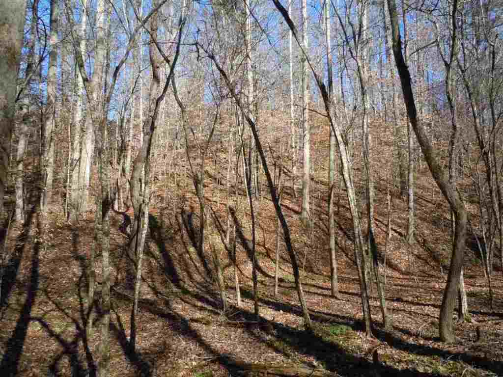 Willow Spring Road Six Mile, SC 29682 - Photo 13 of 20 Gallery Image 13