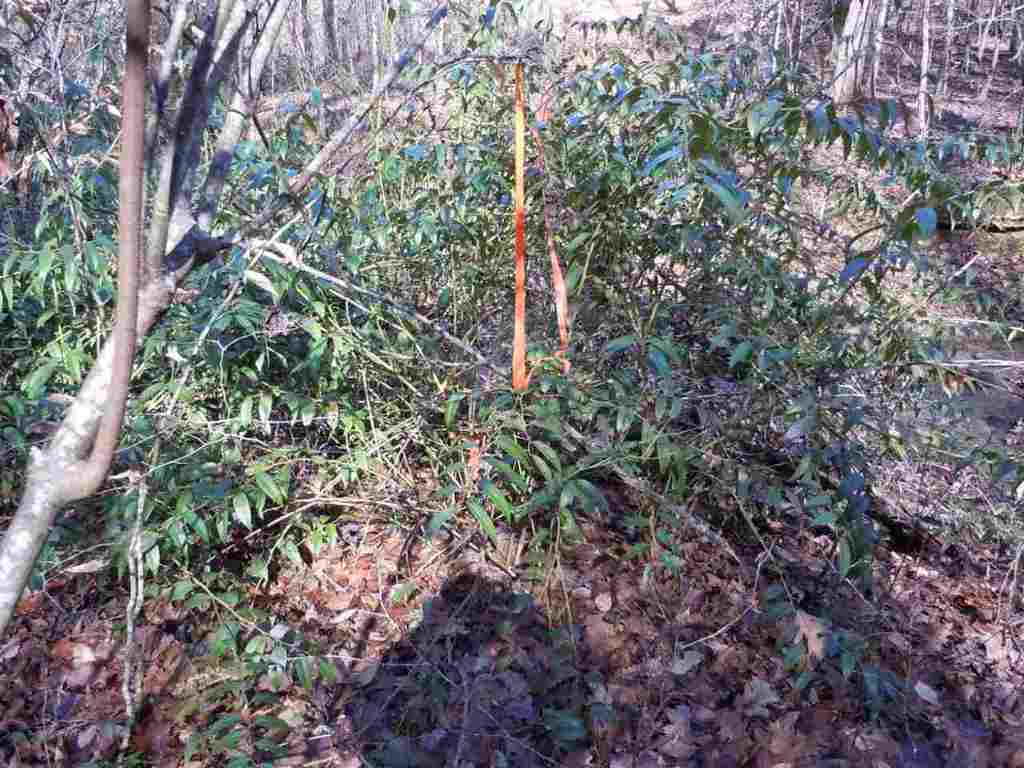 Willow Spring Road Six Mile, SC 29682 - Photo 15 of 20 Gallery Image 15