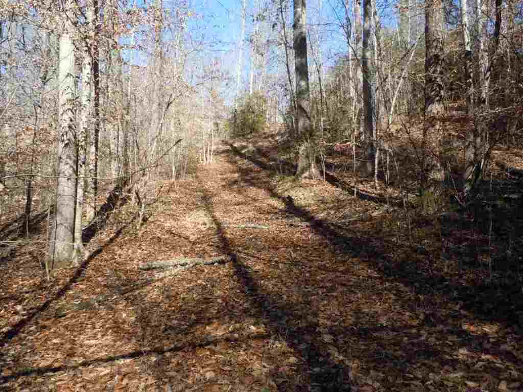 Willow Spring Road Six Mile, SC 29682 - Photo 16 of 20 Gallery Image 16
