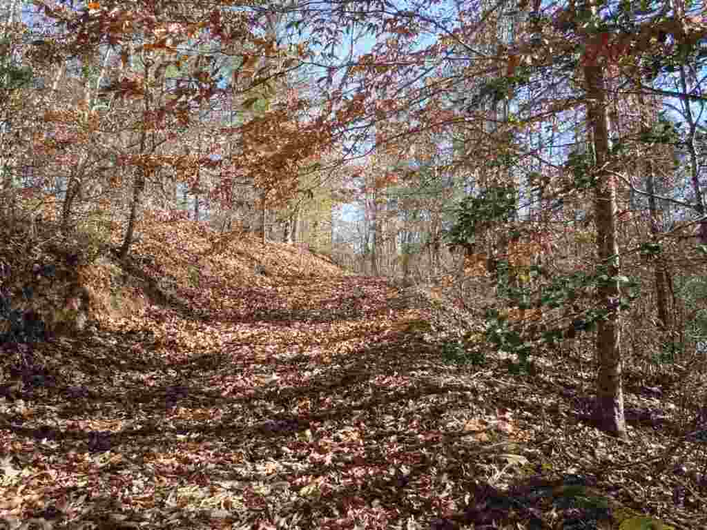 Willow Spring Road Six Mile, SC 29682 - Photo 17 of 20 Gallery Image 17