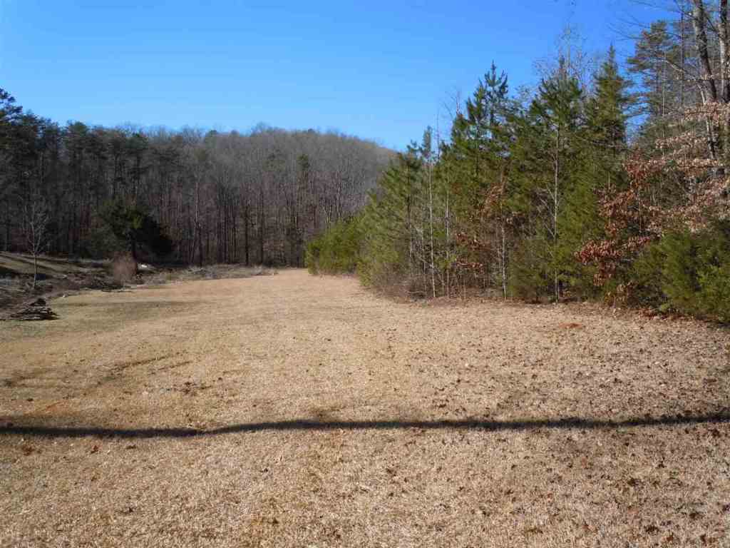 Willow Spring Road Six Mile, SC 29682 - Photo 2 of 20 Gallery Image 2