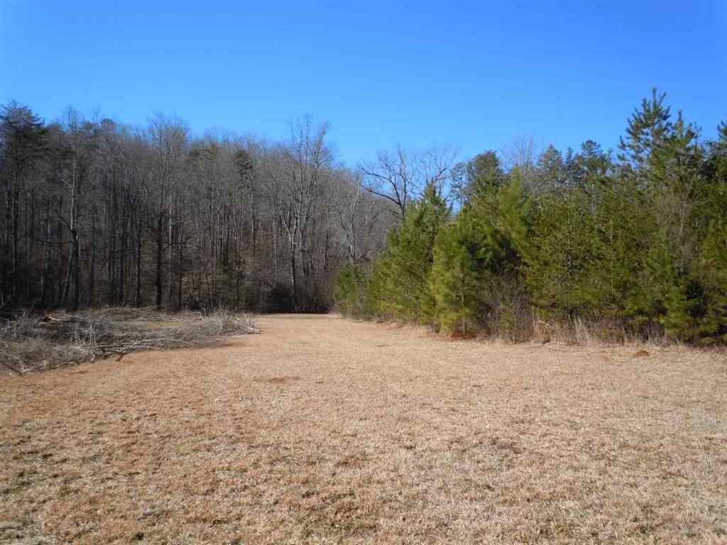 Willow Spring Road Six Mile, SC 29682 - Photo 4 of 20 Gallery Image 4