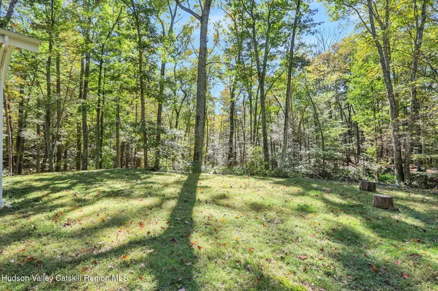 a view of a yard with trees