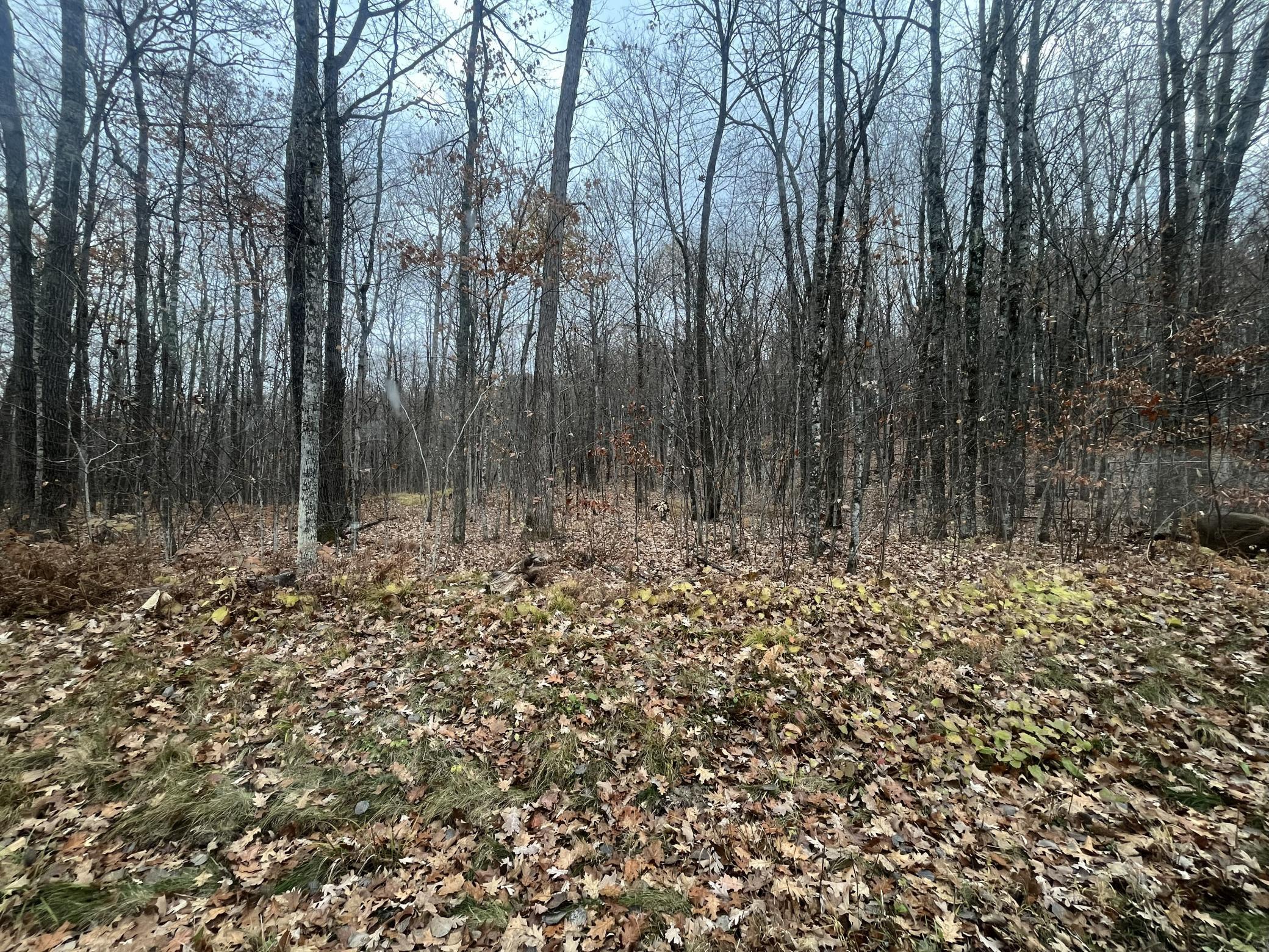 Tbd Ham Lake Lane Stone Lake, WI 54876 - Photo 1 of 1