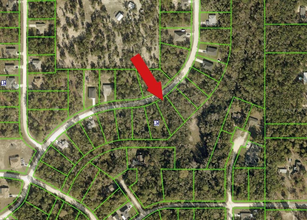 14398 Chimney Swift Road Weeki Wachee, FL 34614 - Photo 2 of 4