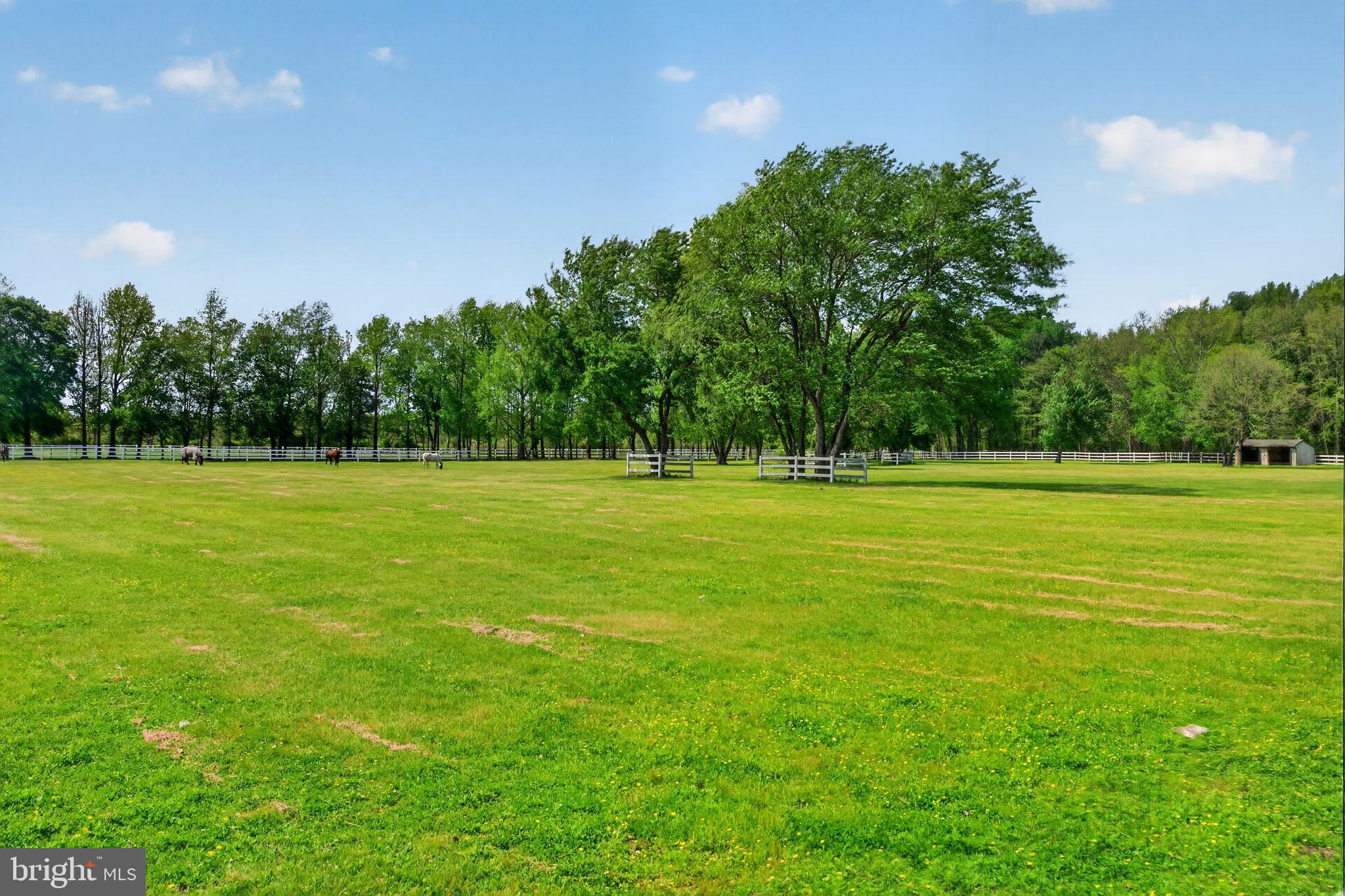 209 Buddtown Road Southampton, NJ 08088 - Photo 67 of 79