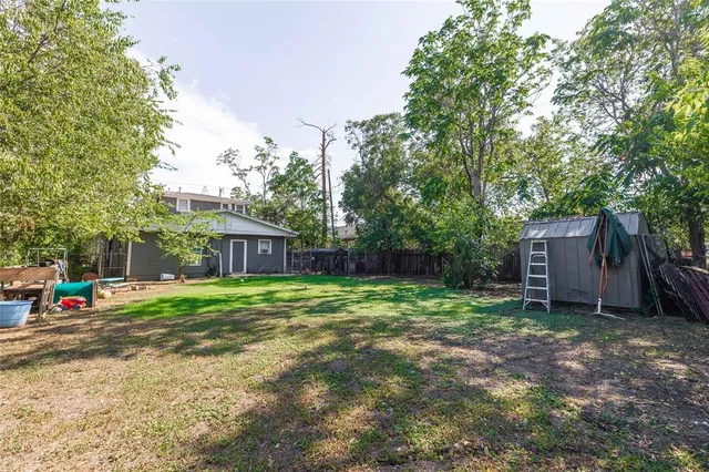 a view of a backyard with large trees and plants