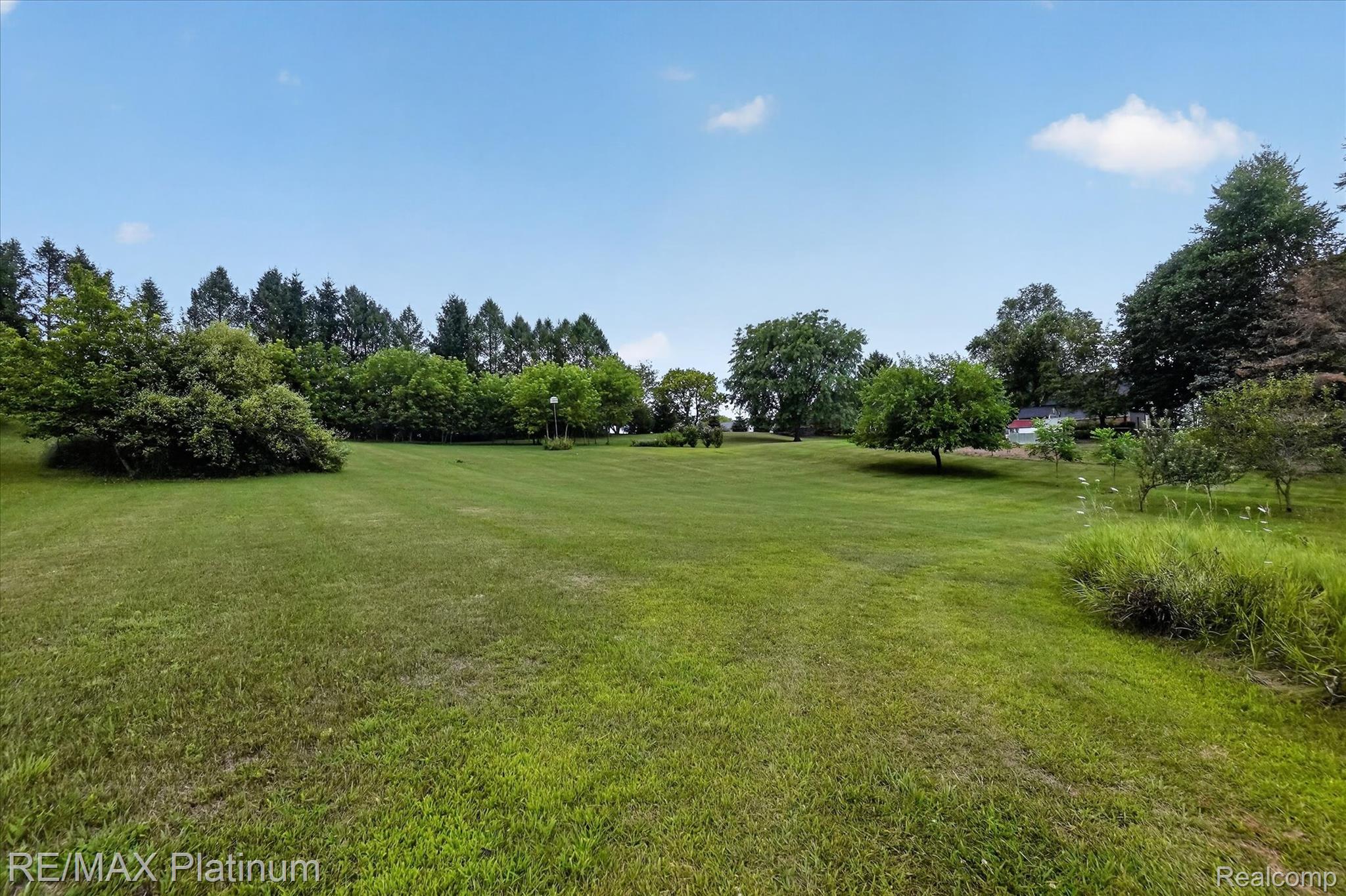 4457 Bradley Road Gregory, MI 48137 - Photo 55 of 79 Expansive grassy area featuring mature trees and established perimeter foliage