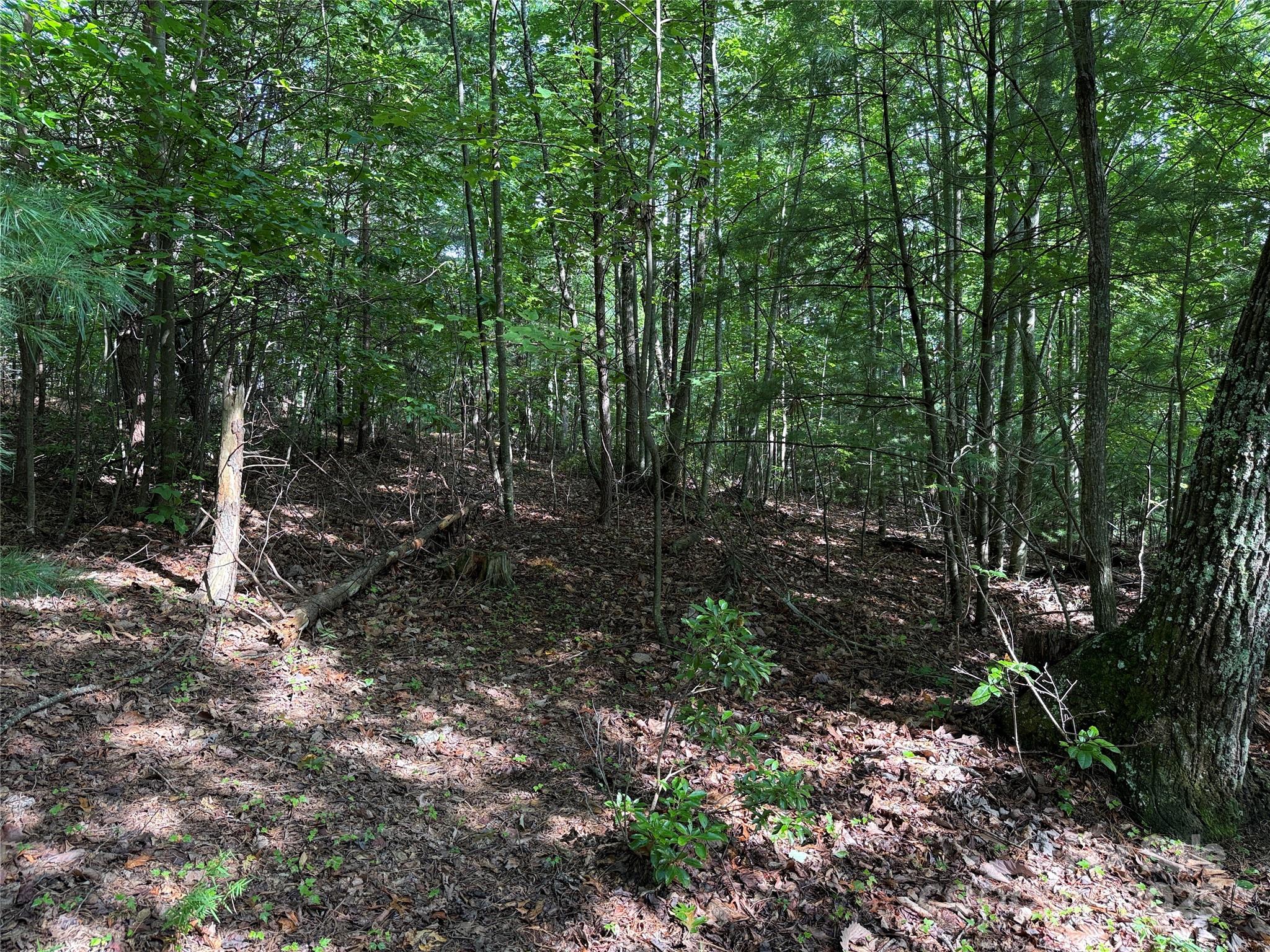 Tbd Deer Run, Unit 231 Purlear, NC 28665 - Photo 15 of 37 a backyard of a house with lots of green space