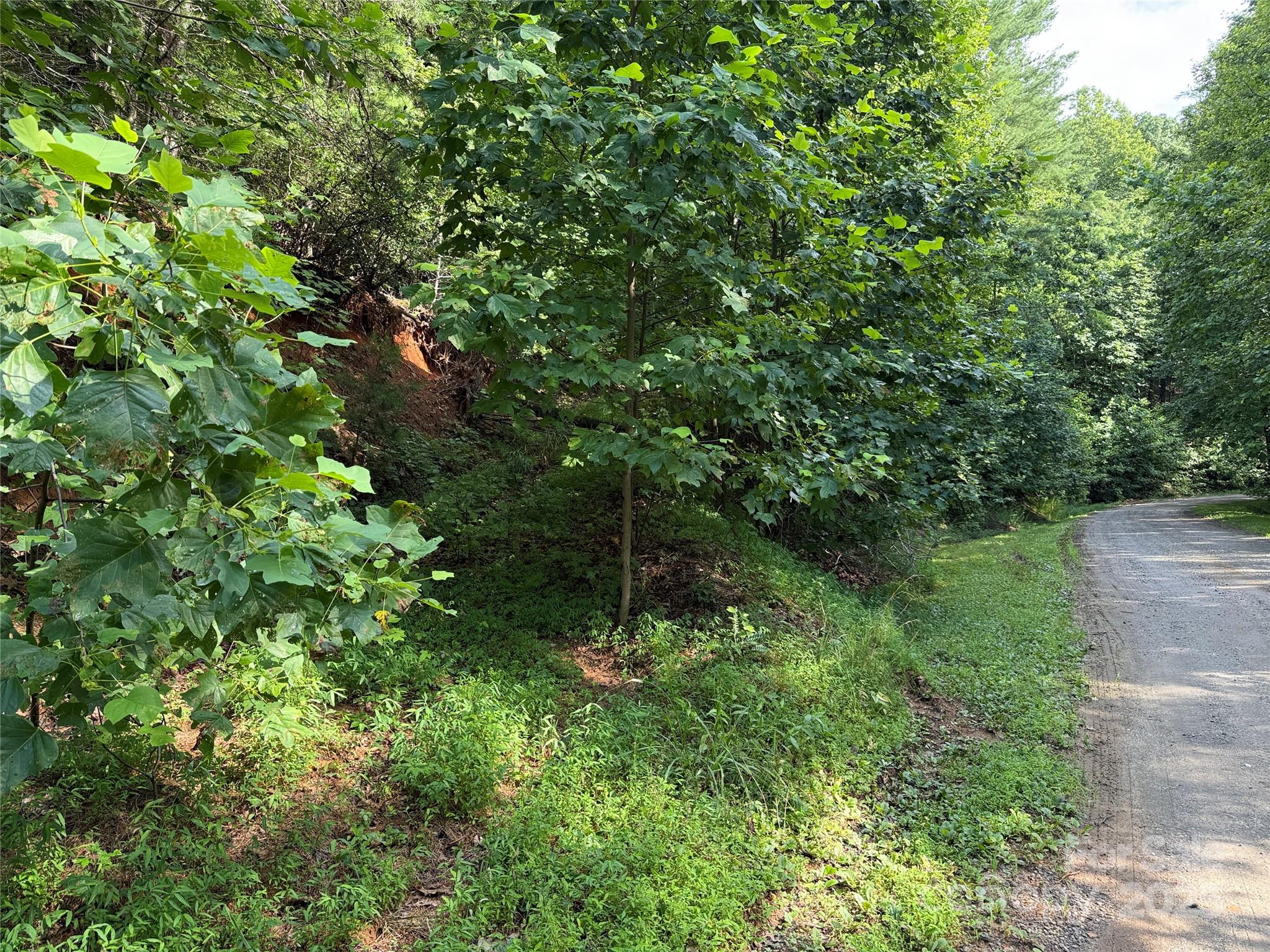 Tbd Deer Run, Unit 231 Purlear, NC 28665 - Photo 7 of 37