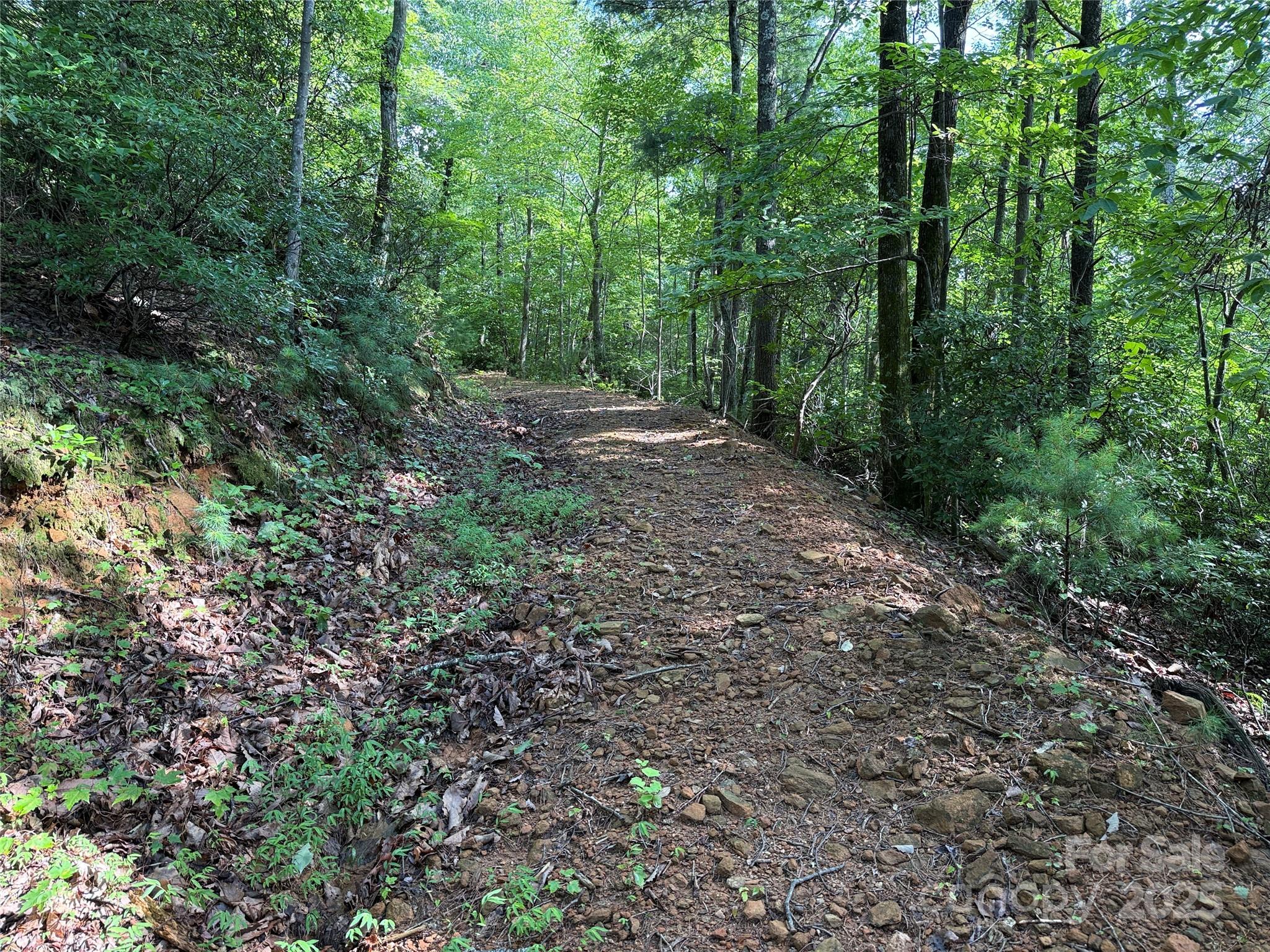 Tbd Deer Run, Unit 231 Purlear, NC 28665 - Photo 9 of 37 a view of a forest with trees in the background