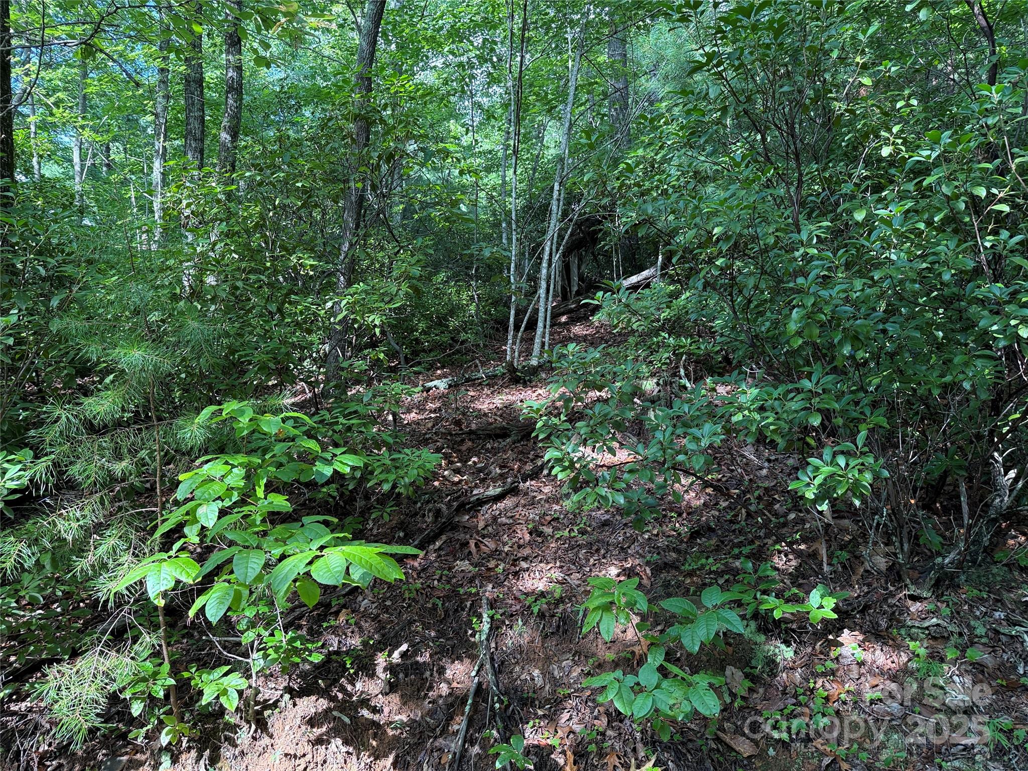 Tbd Deer Run, Unit 231 Purlear, NC 28665 - Photo 10 of 37 a view of a garden with plants and trees