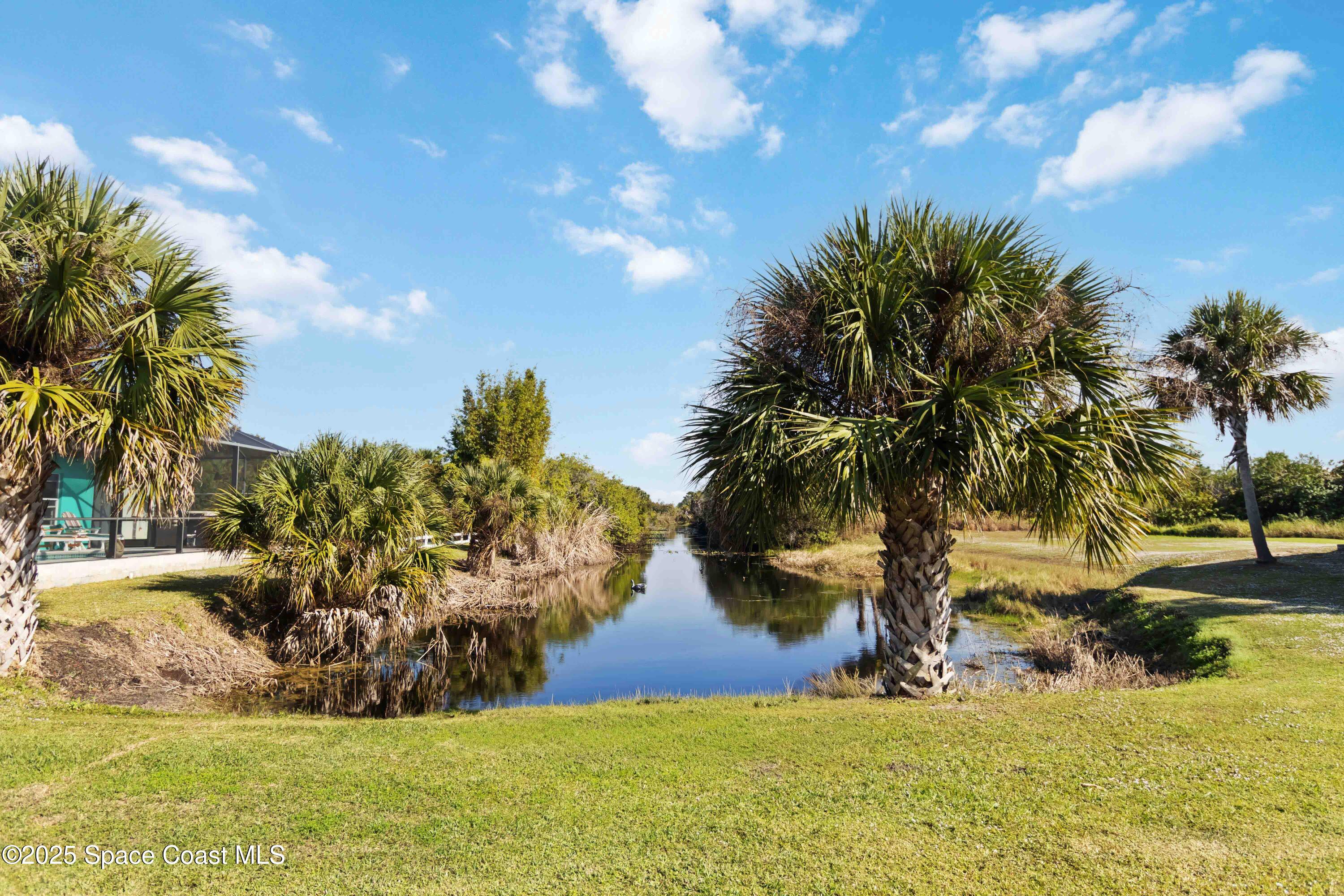 341 Buckskin Street Palm Bay, FL 32909 - Photo 56 of 69 Pond