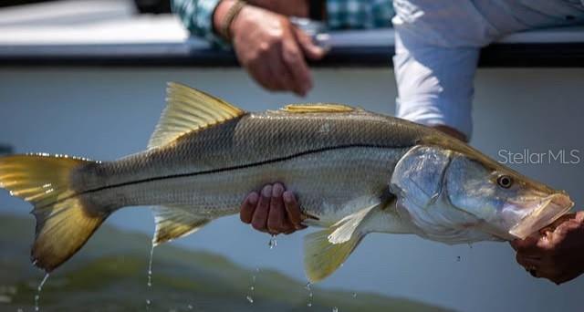 3314 Fernleaf Drive Hernando Beach, FL 34607 - Photo 16 of 33