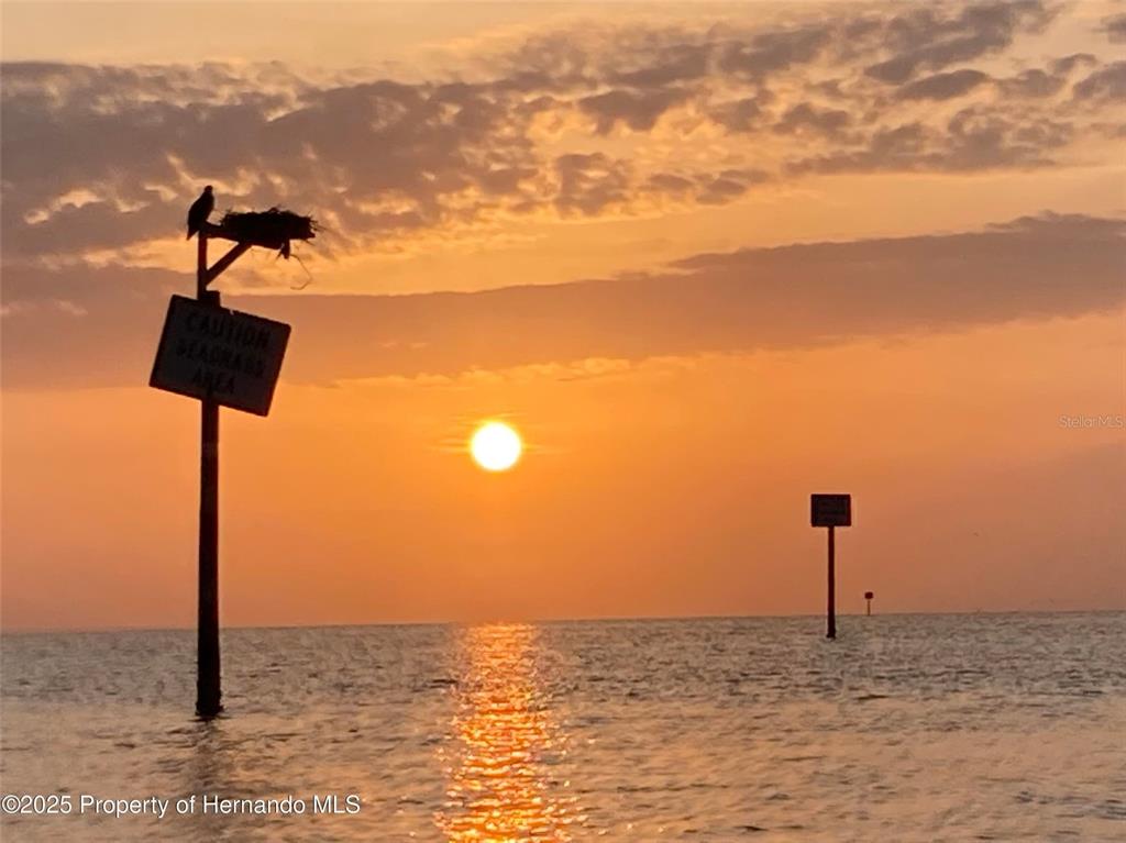3314 Fernleaf Drive Hernando Beach, FL 34607 - Photo 4 of 33 a view of a room with a ocean