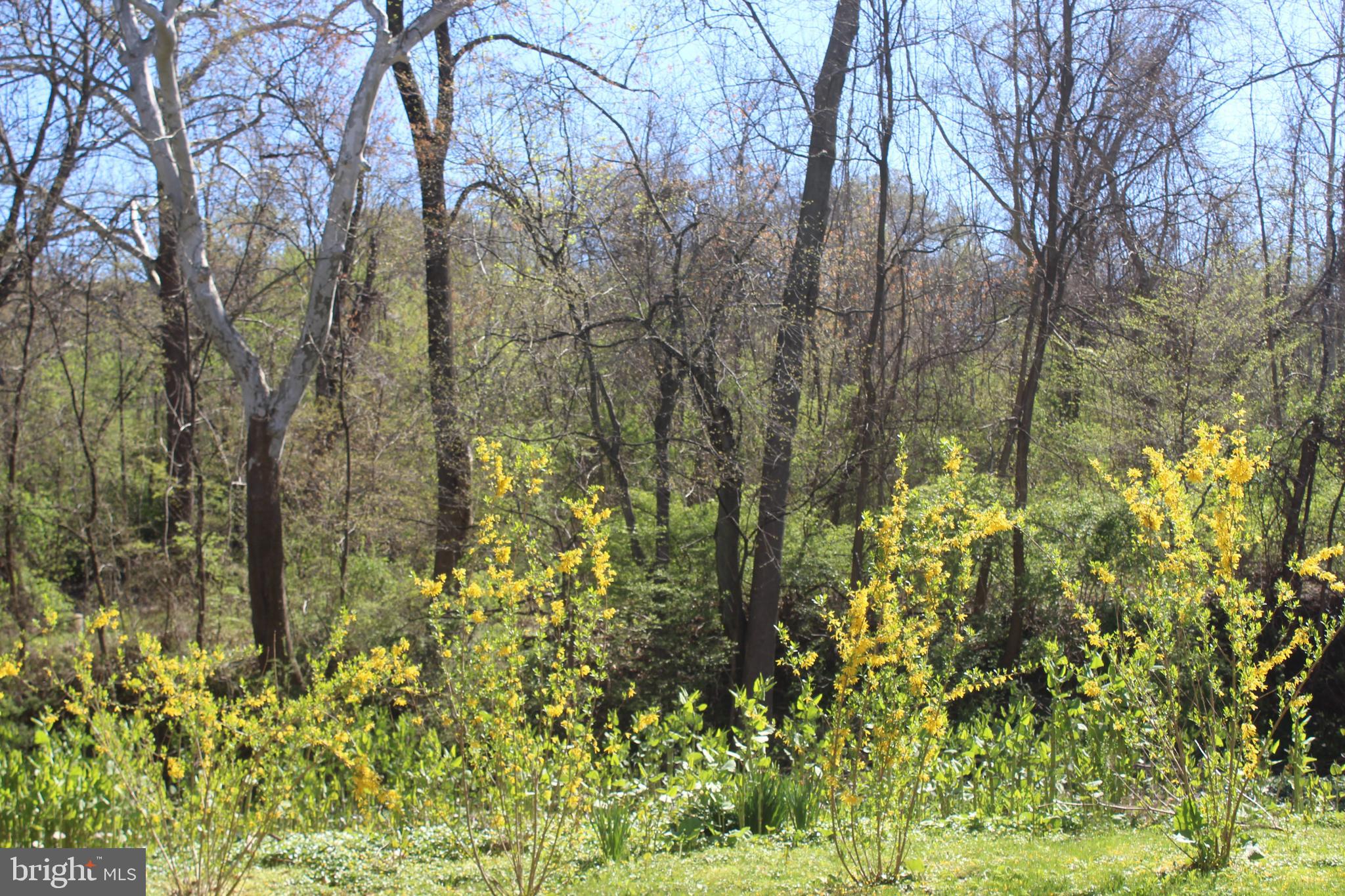 700 Avondale Road, Unit PH5 Wallingford, PA 19086 - Photo 36 of 40 Beautiful Setting