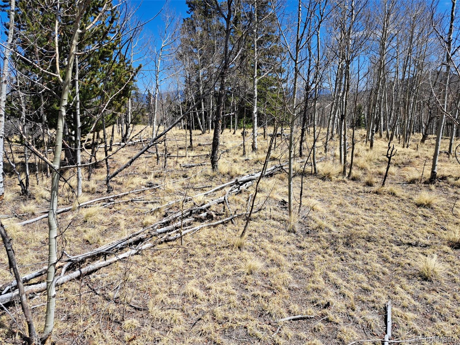 730 Tepee Trail Como, CO 80456 - Photo 25 of 29