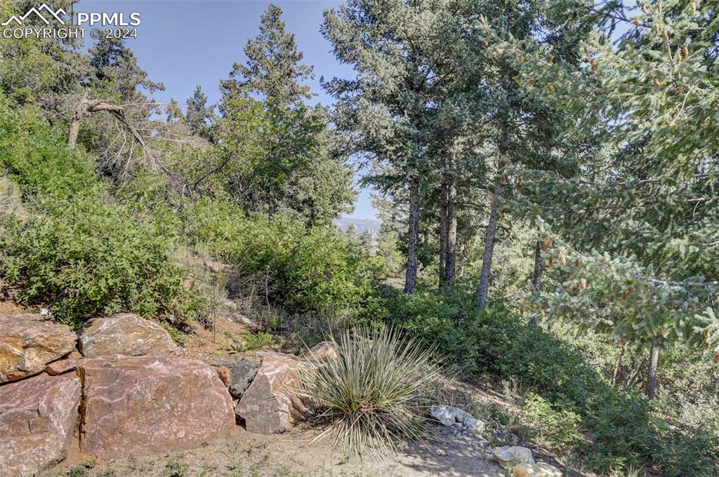 1306 Limerock Lane Colorado Springs, CO 80906 - Photo 36 of 50 a view of a dry yard with lots of bushes