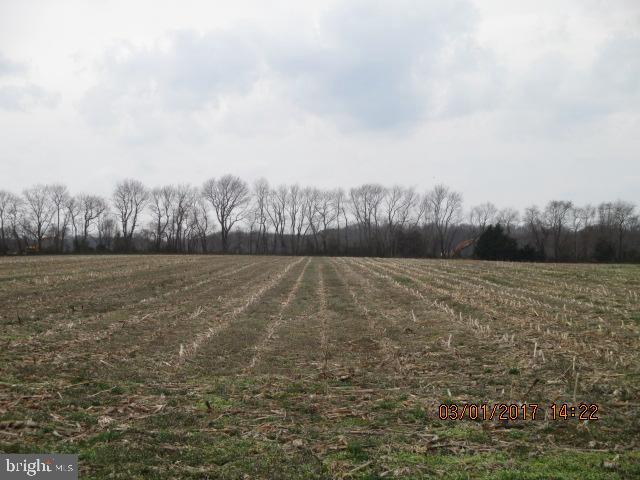 Cobbs Mill Road Bridgeton, NJ 08302 - Photo 4 of 5
