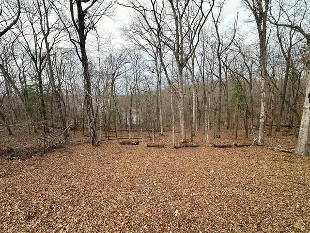 a view of a outdoor space with trees