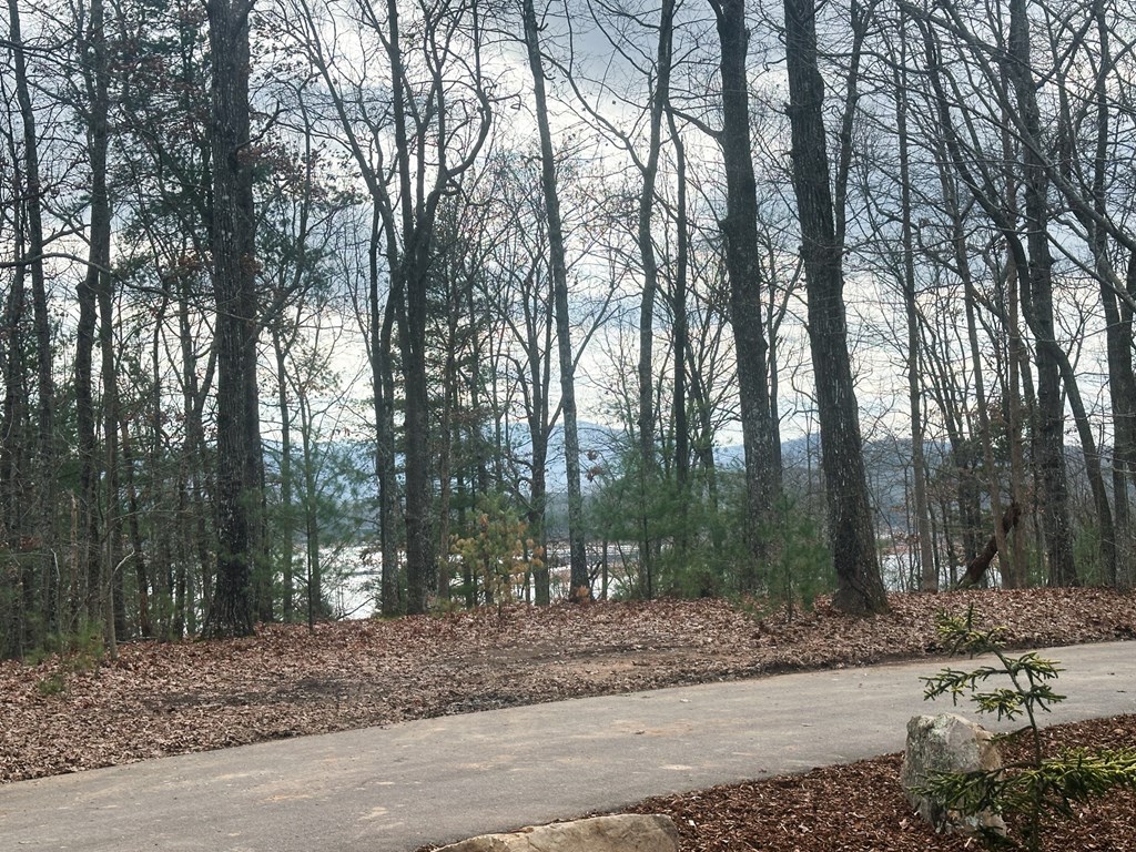 660 Old Toccoa Road Morganton, GA 30560 - Photo 12 of 45 a view of a yard with trees