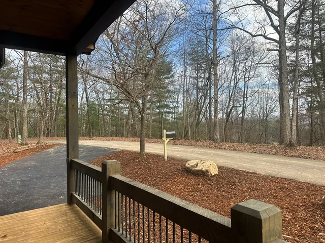 a view of a yard with street