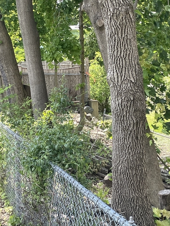 310-est) Channing Road Belmont, MA 02478 - Photo 15 of 17 Gallery Image 15