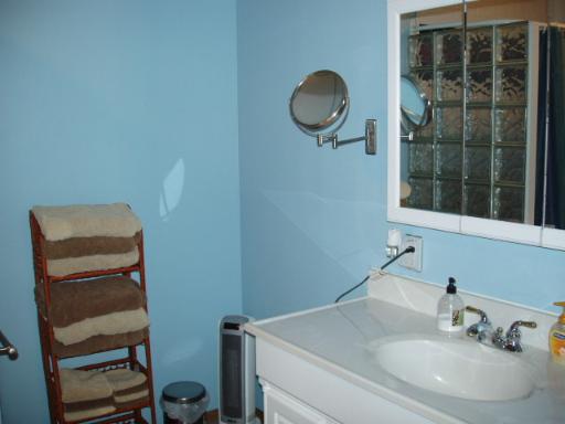 7940 Gurler Road DeKalb, IL 60115 - Photo 14 of 16 a bathroom with a sink and a mirror