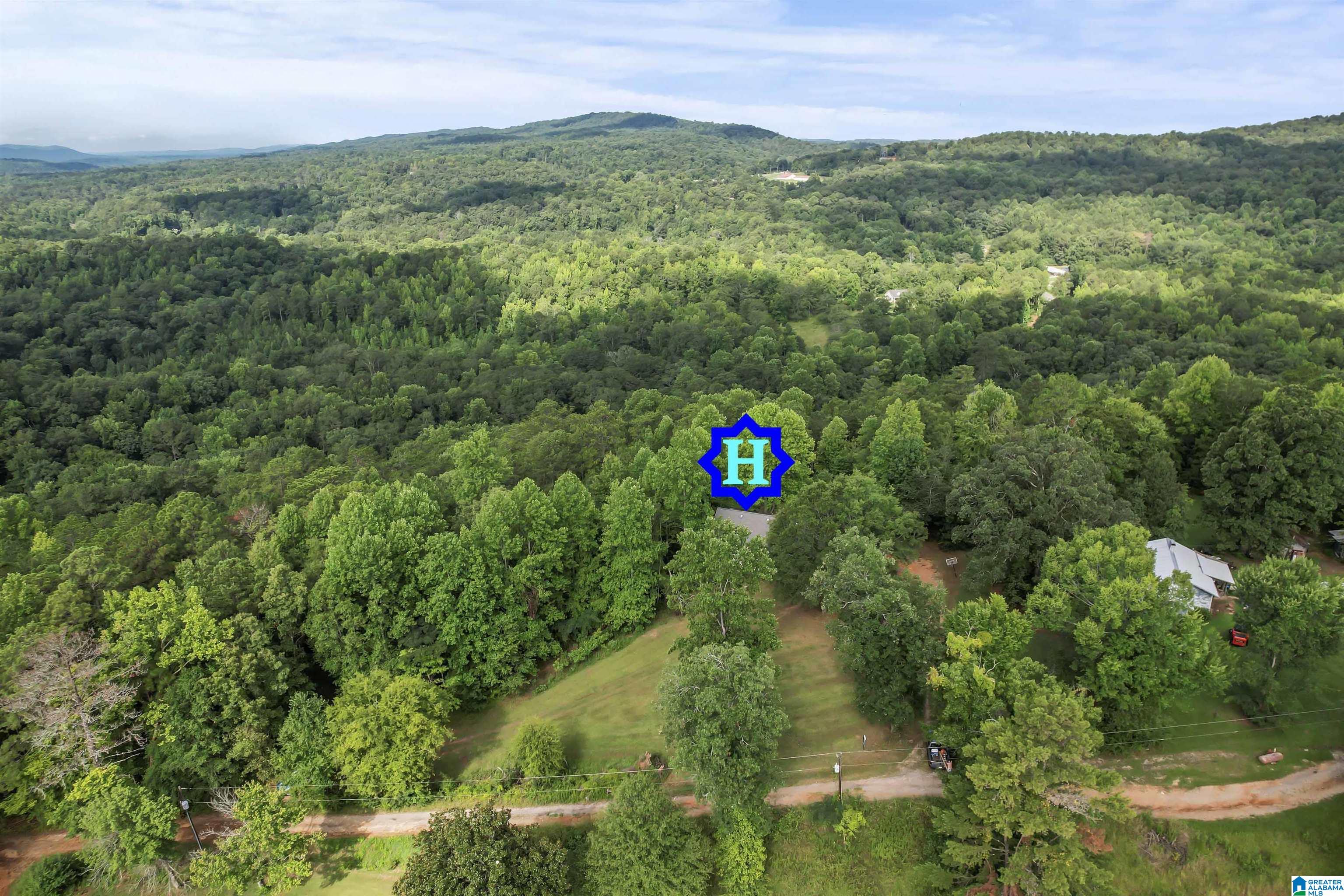 225 Sunset Hl Road Pell City, AL 35128 - Photo 11 of 33