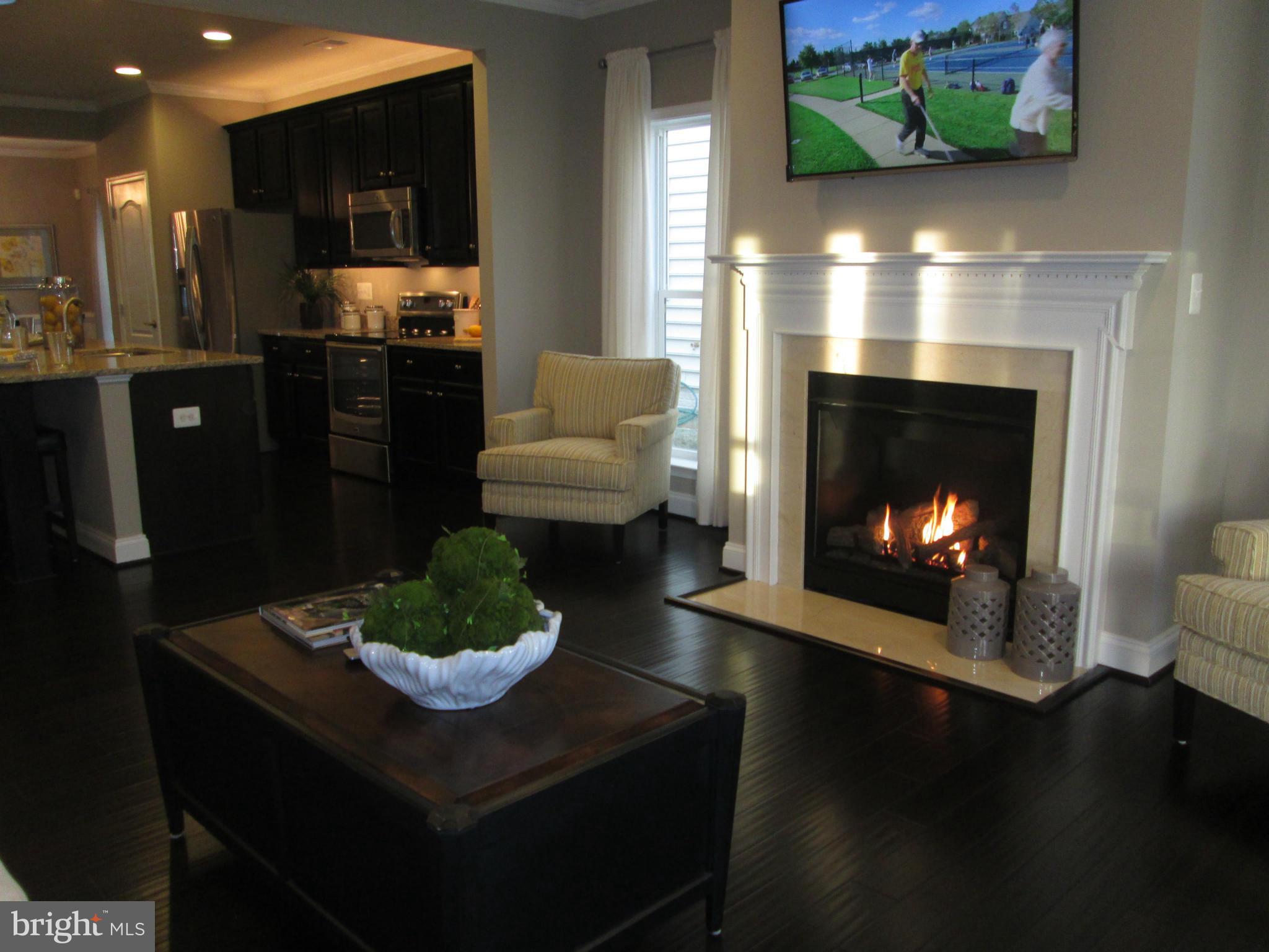 4121 Briars Road Olney, MD 20832 - Photo 15 of 20 Symphony Living Room