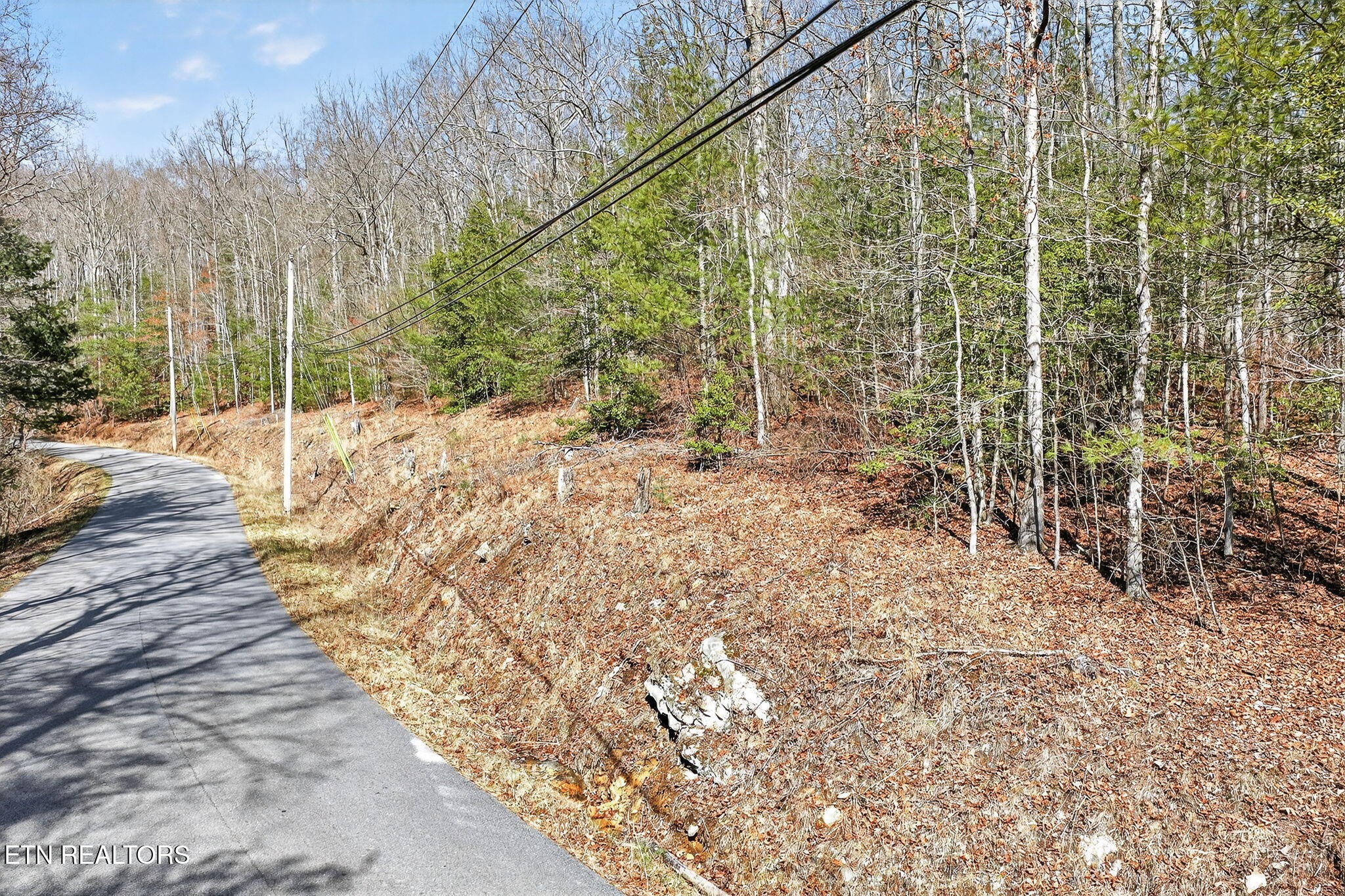 0 Dogwood Road Grandview, TN 37337 - Photo 3 of 16