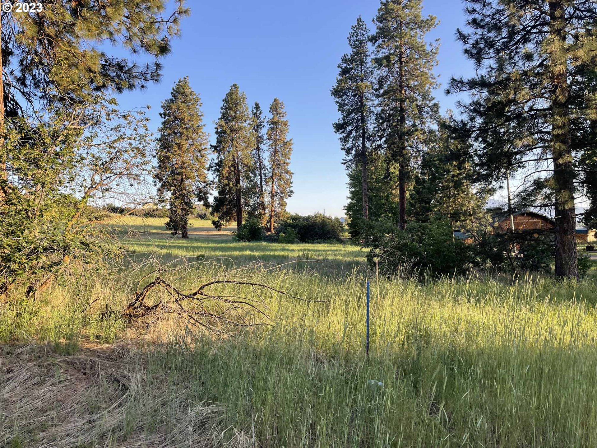Twin Lakes Road, Unit 3 Chiloquin, OR 97624 - Photo 2 of 12 a view of lake with green space