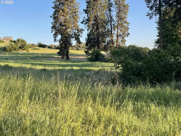 $17,900 | Twin Lakes Road, Unit 3, Chiloquin, OR 97624