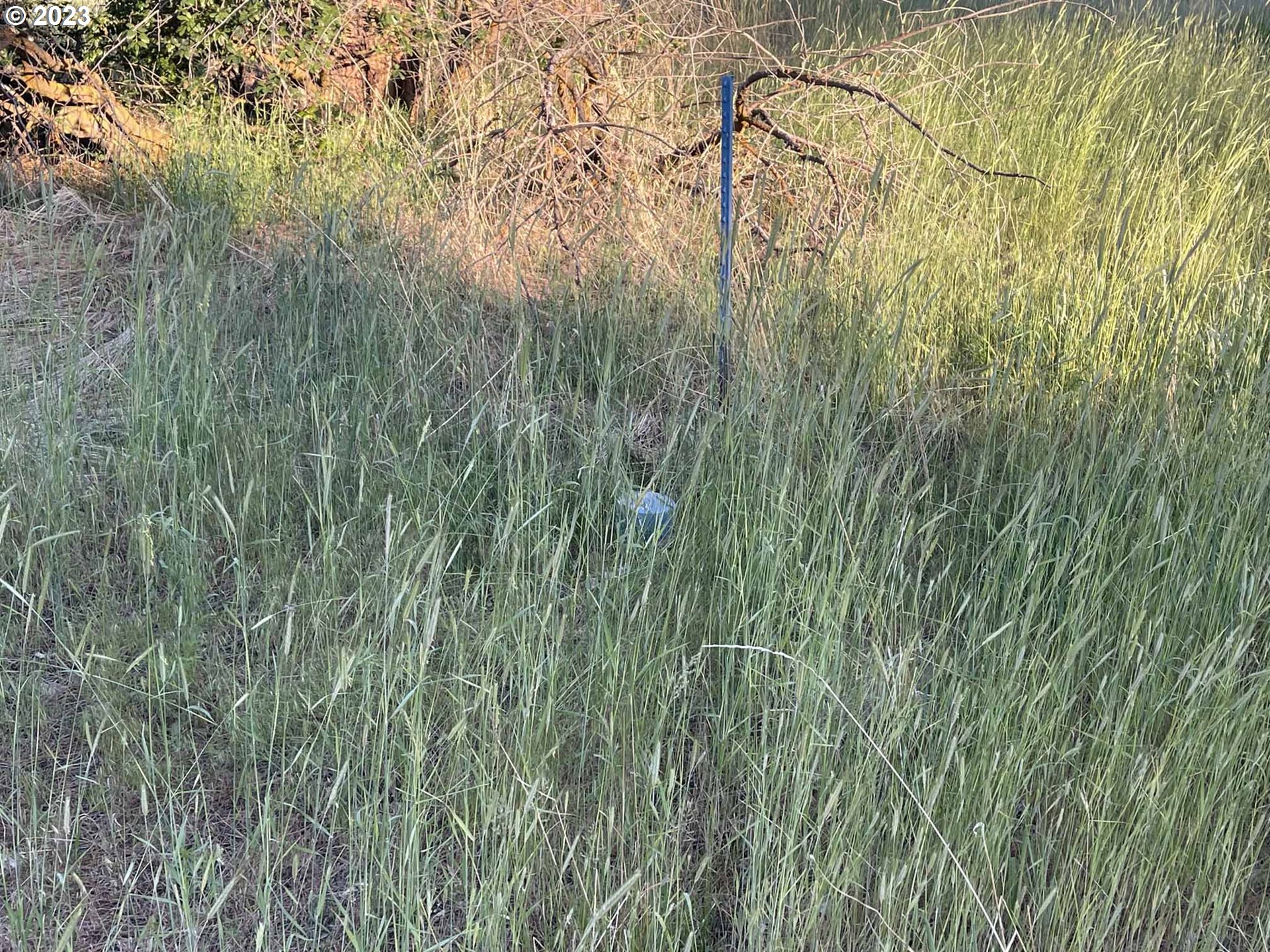 Twin Lakes Road, Unit 3 Chiloquin, OR 97624 - Photo 10 of 12 a view of a yard