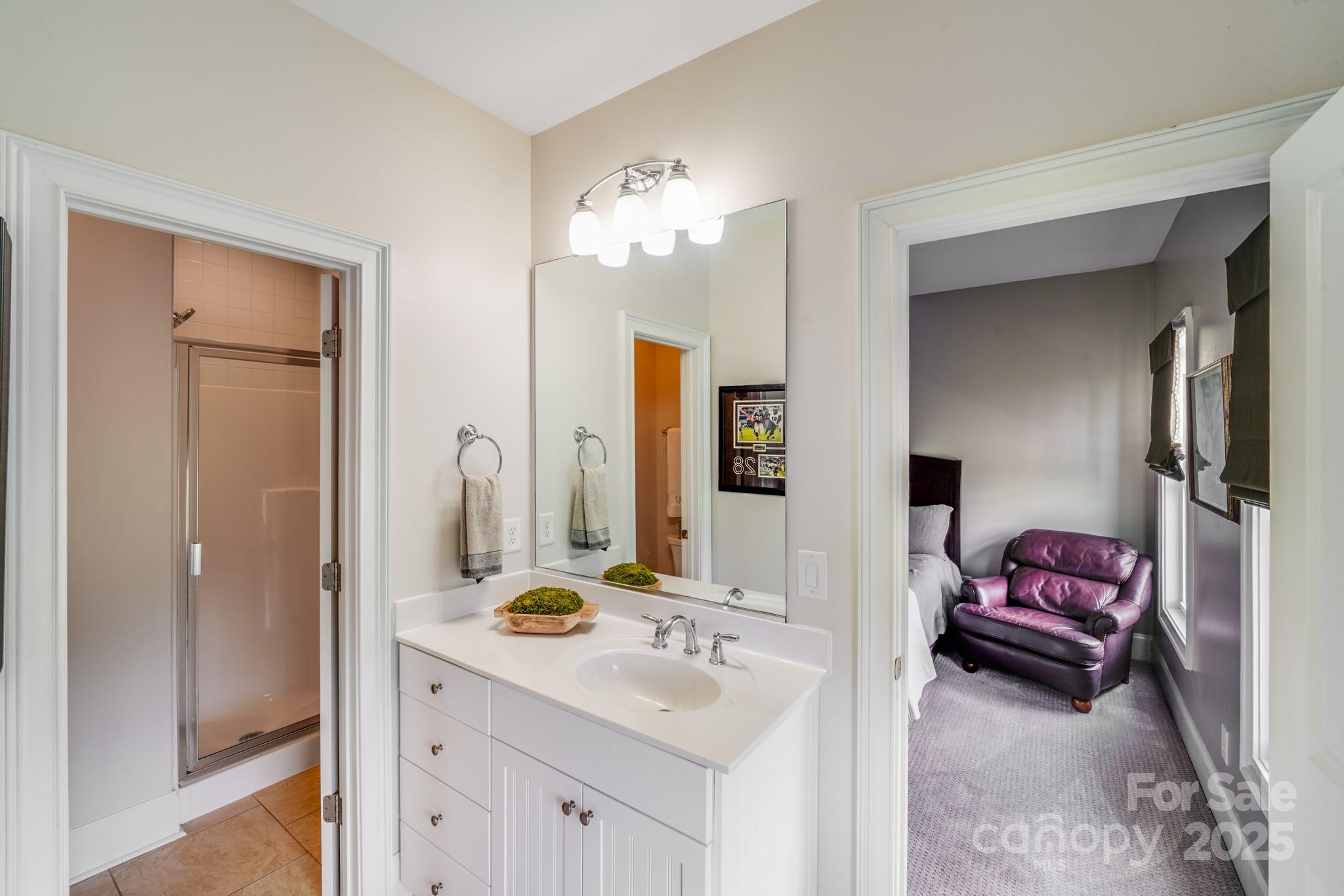 2702 Arsdale Road Waxhaw, NC 28173 - Photo 36 of 48 a en suite bathroom with a sink vanity and mirror