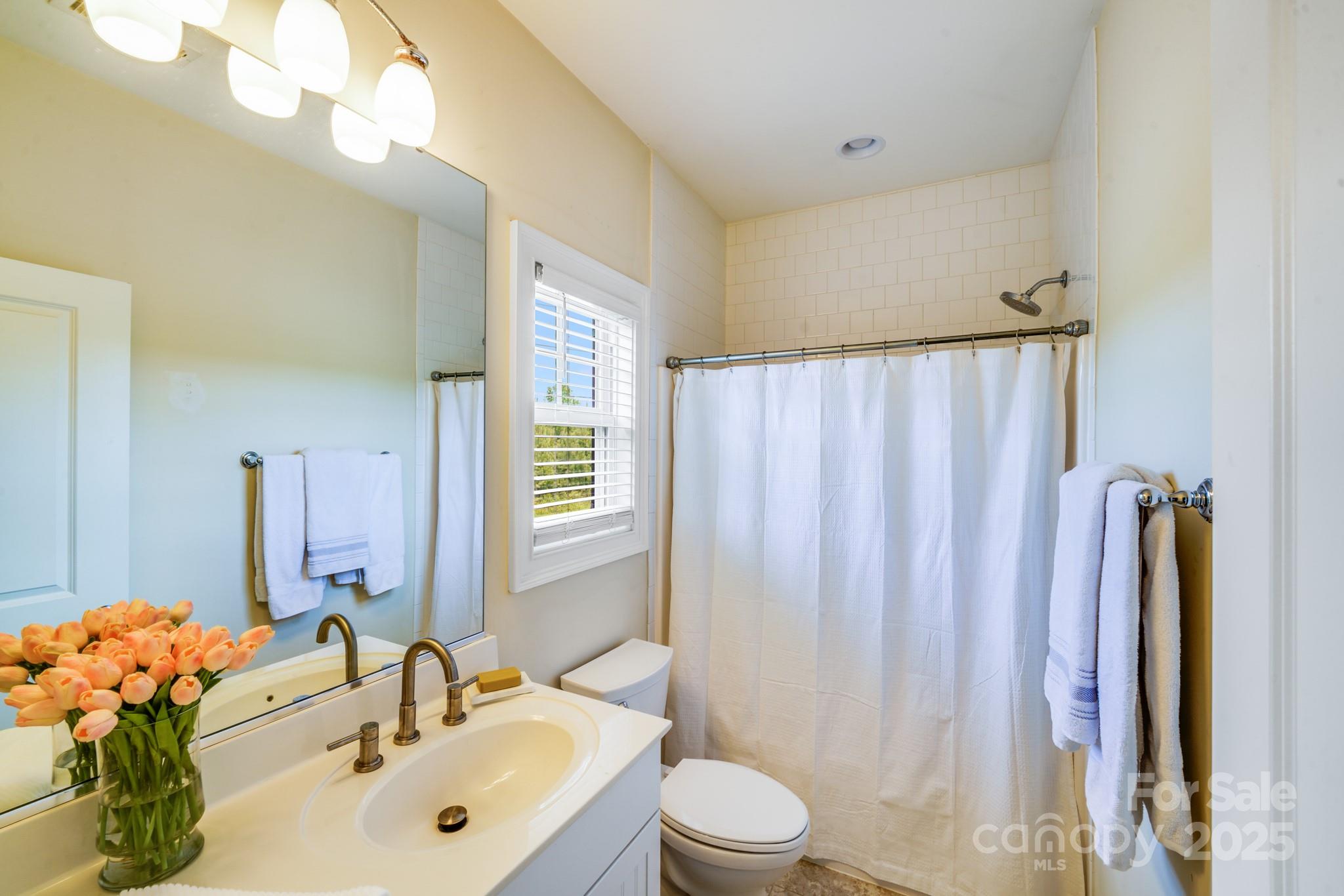 2702 Arsdale Road Waxhaw, NC 28173 - Photo 41 of 48 a bathroom with a sink a toilet and a mirror
