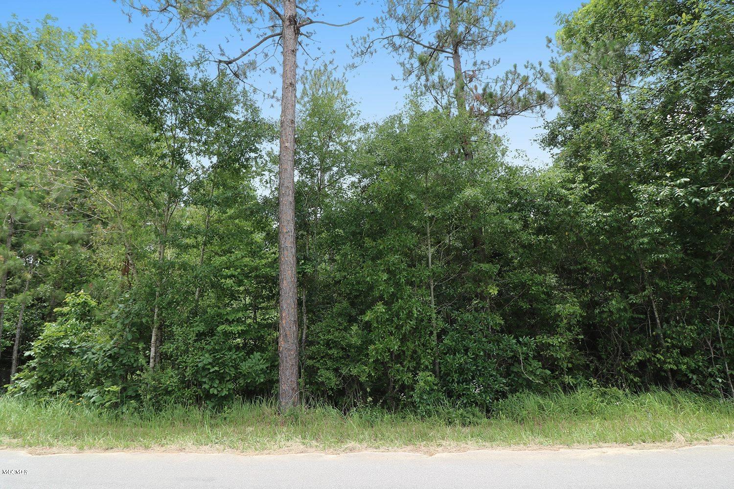 6.57-acres Walt Tanner Road Lucedale, MS 39452 - Photo 2 of 8 2