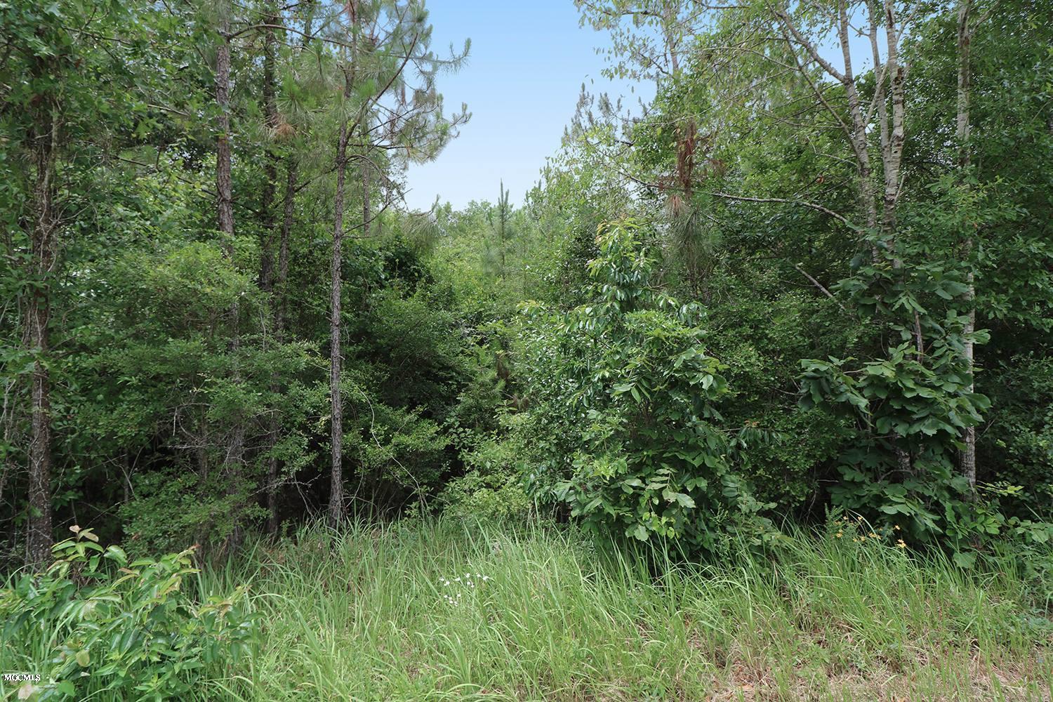 6.57-acres Walt Tanner Road Lucedale, MS 39452 - Photo 4 of 8 4
