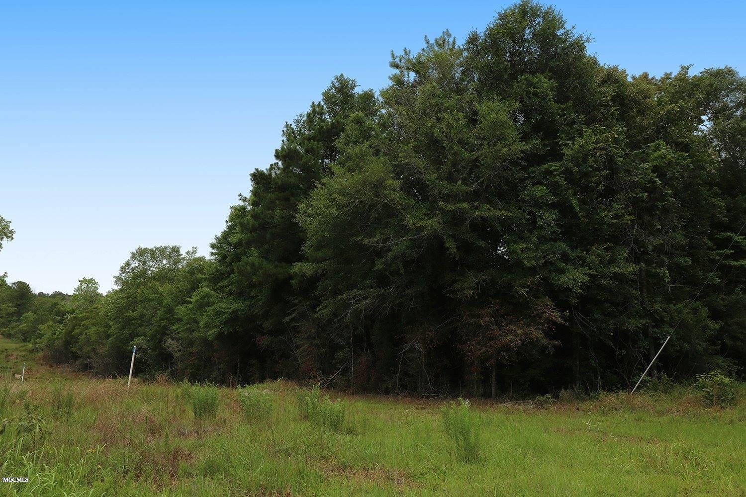 6.57-acres Walt Tanner Road Lucedale, MS 39452 - Photo 5 of 8 5