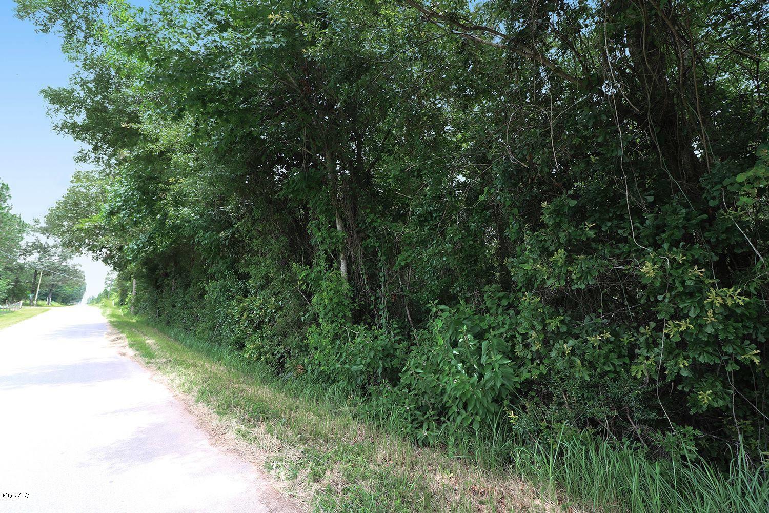 6.57-acres Walt Tanner Road Lucedale, MS 39452 - Photo 6 of 8 6