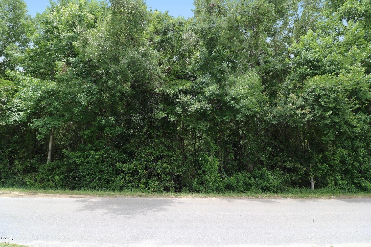 6.57-acres Walt Tanner Road Lucedale, MS 39452 - Photo 7 of 8 7