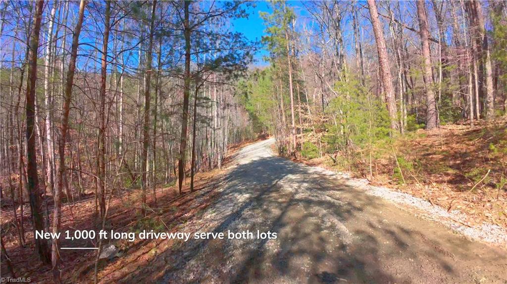 0 Wolf Rock Road Walnut Cove, NC 27052 - Photo 11 of 49