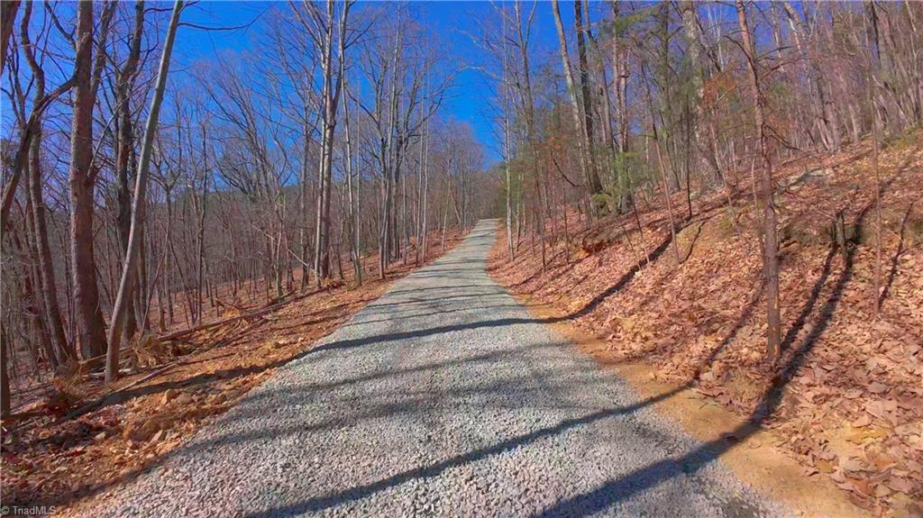 0 Wolf Rock Road Walnut Cove, NC 27052 - Photo 12 of 49