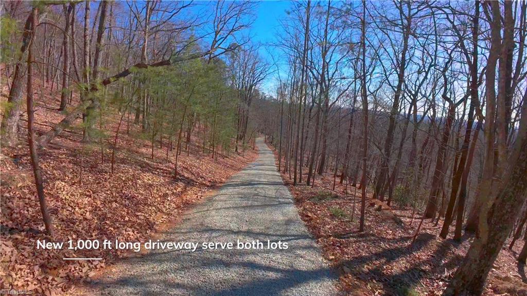 0 Wolf Rock Road Walnut Cove, NC 27052 - Photo 13 of 49