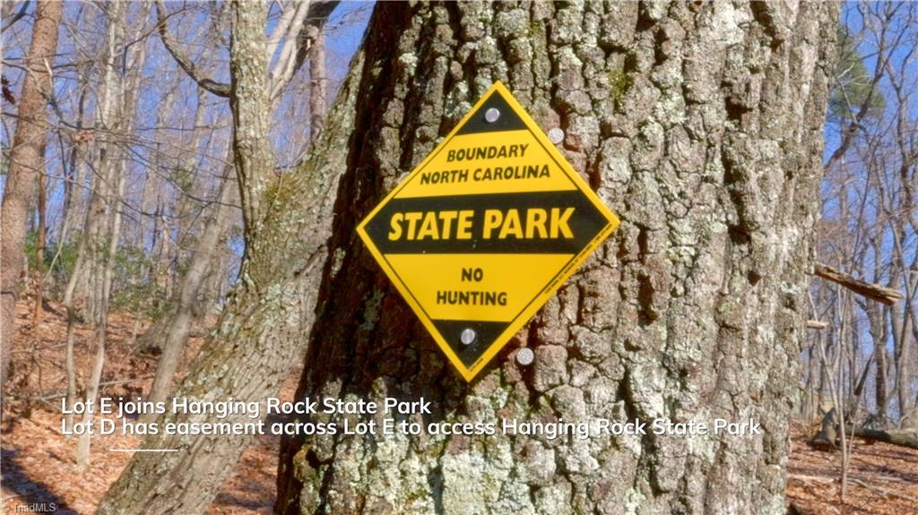 0 Wolf Rock Road Walnut Cove, NC 27052 - Photo 18 of 49