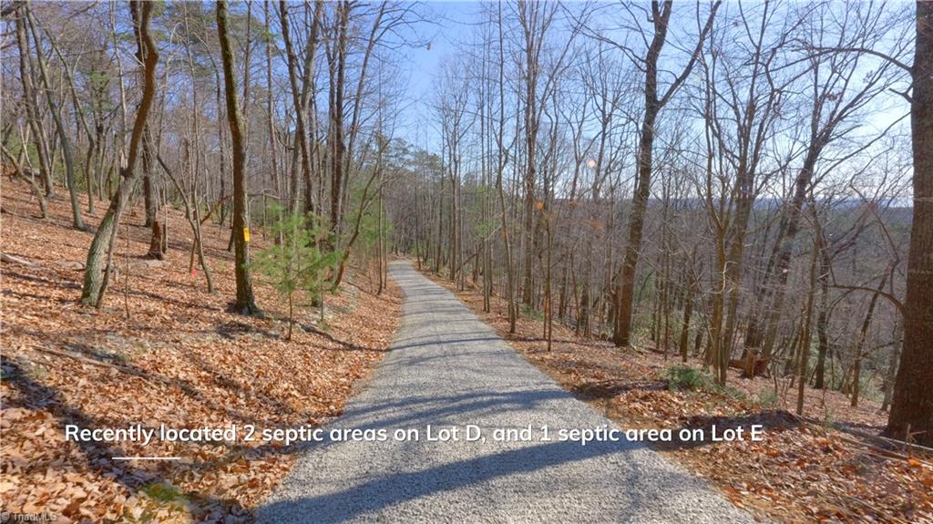 0 Wolf Rock Road Walnut Cove, NC 27052 - Photo 19 of 49