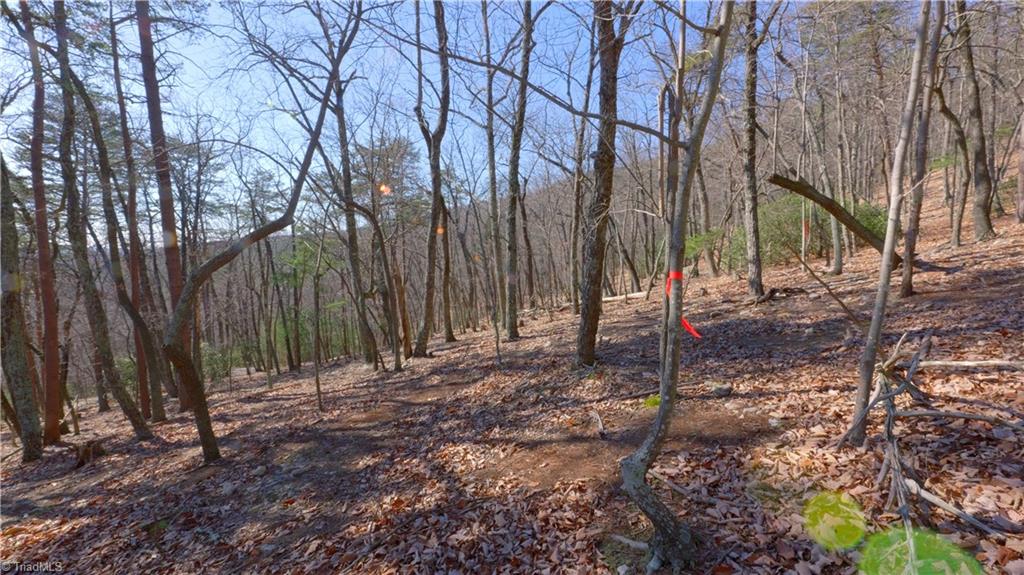 0 Wolf Rock Road Walnut Cove, NC 27052 - Photo 20 of 49