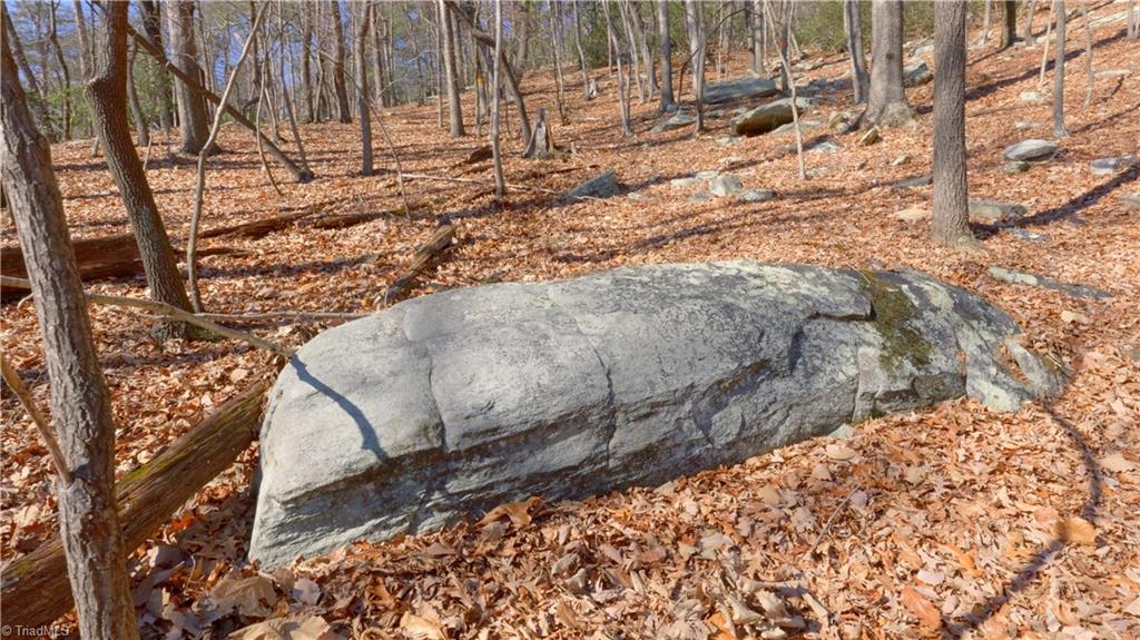 0 Wolf Rock Road Walnut Cove, NC 27052 - Photo 21 of 49